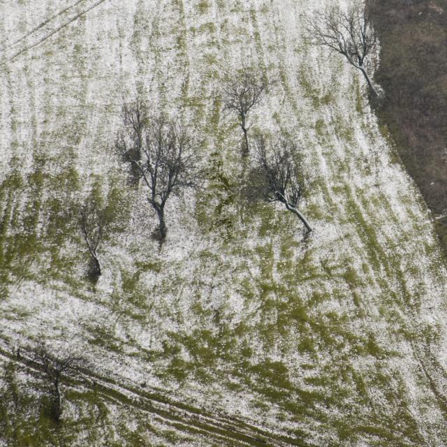 A snowfall (04)